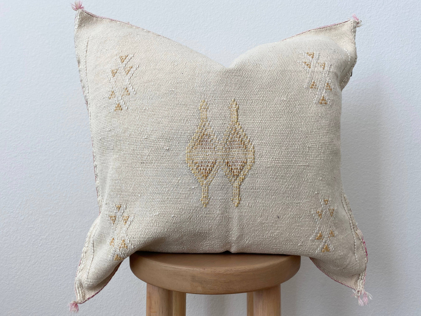 Beige Silk Sabra Cushion cover